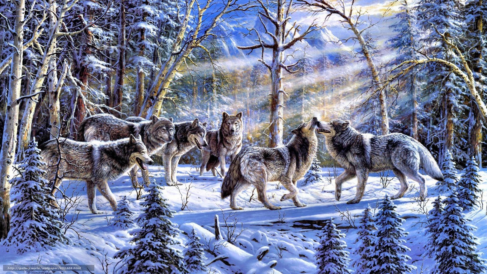 Wolves in a snowy forest