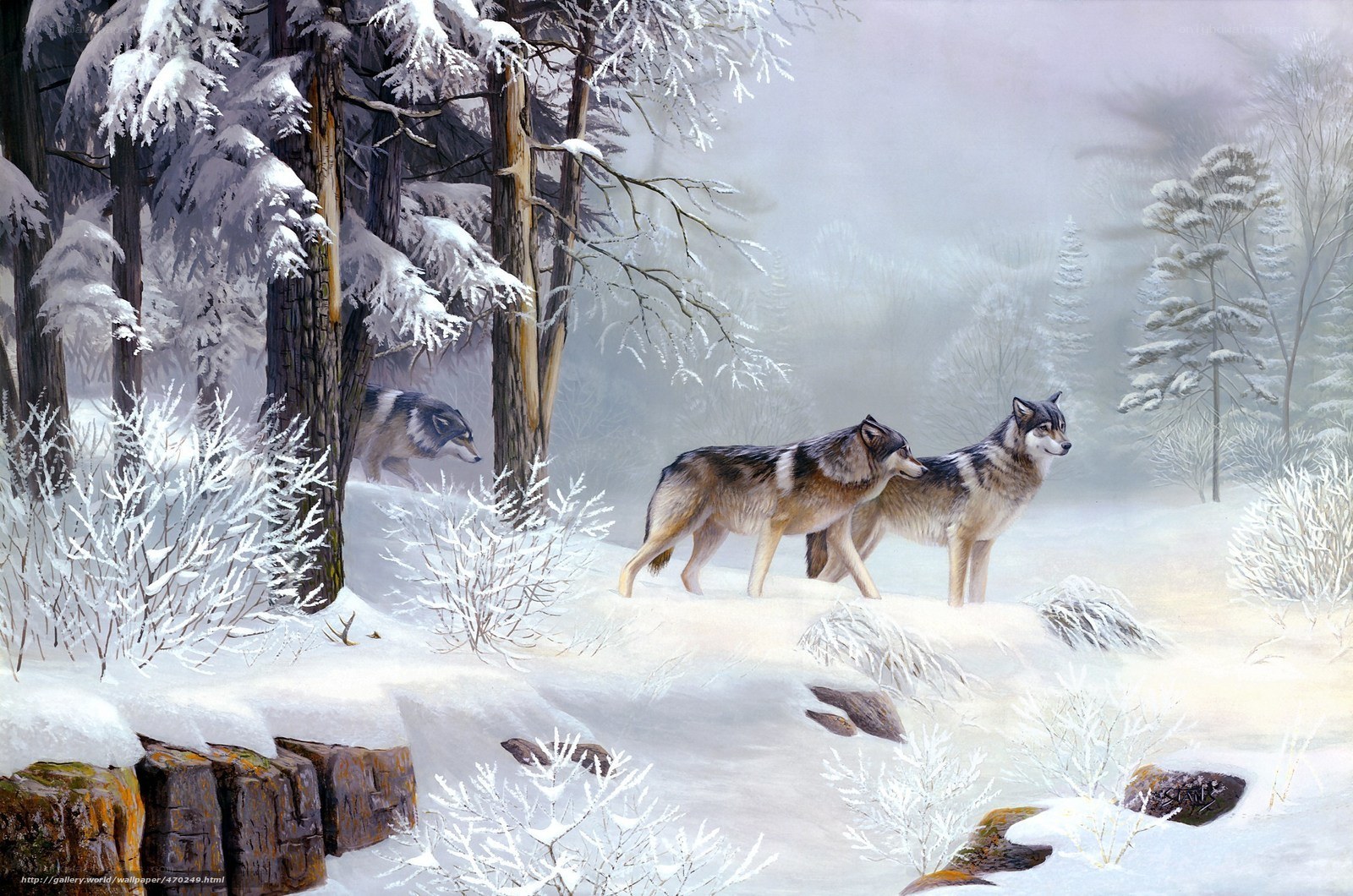 Wolves in a snowy forest