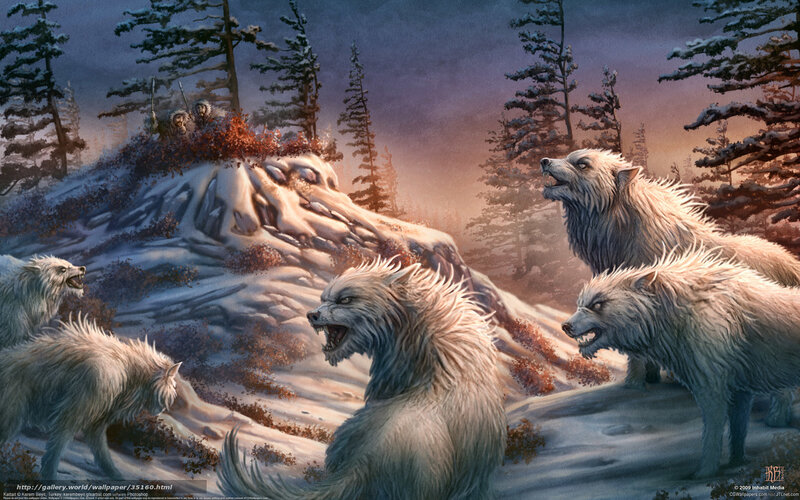 Wolves in a snowy forest