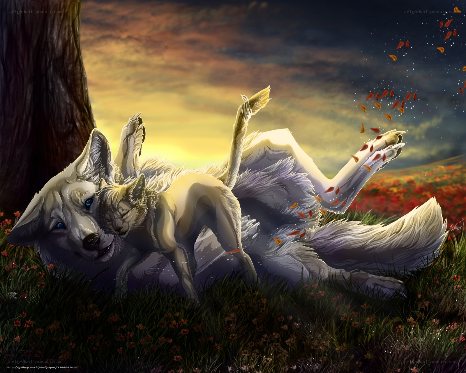 Wolves in autumn field