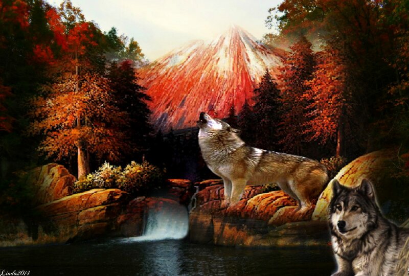 Wolves in Autumn Forest — Red
