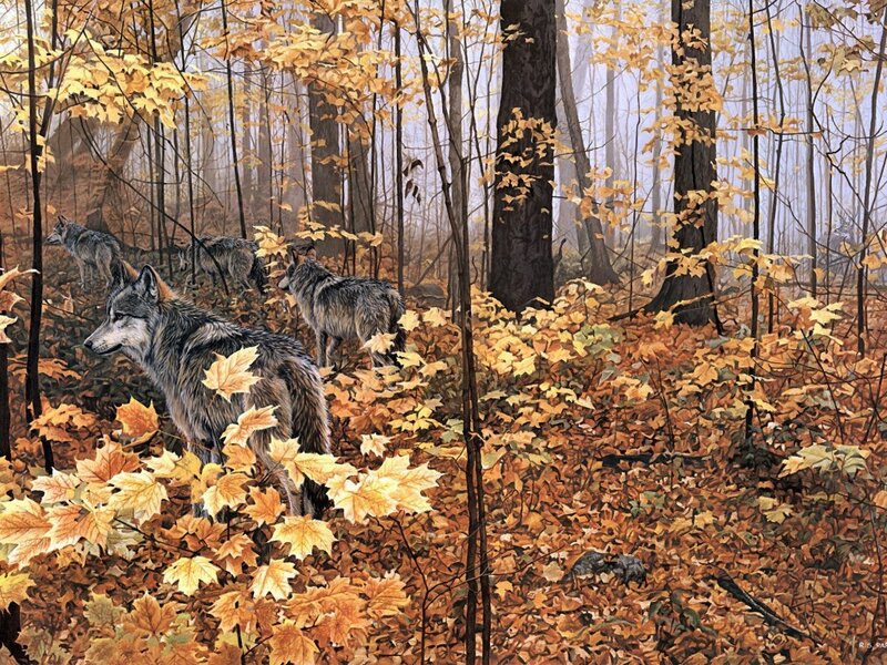 Wolves in Autumn Forest — Yellow, Serene