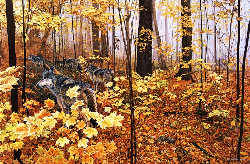 Wolves in Autumn Forest — Yellow