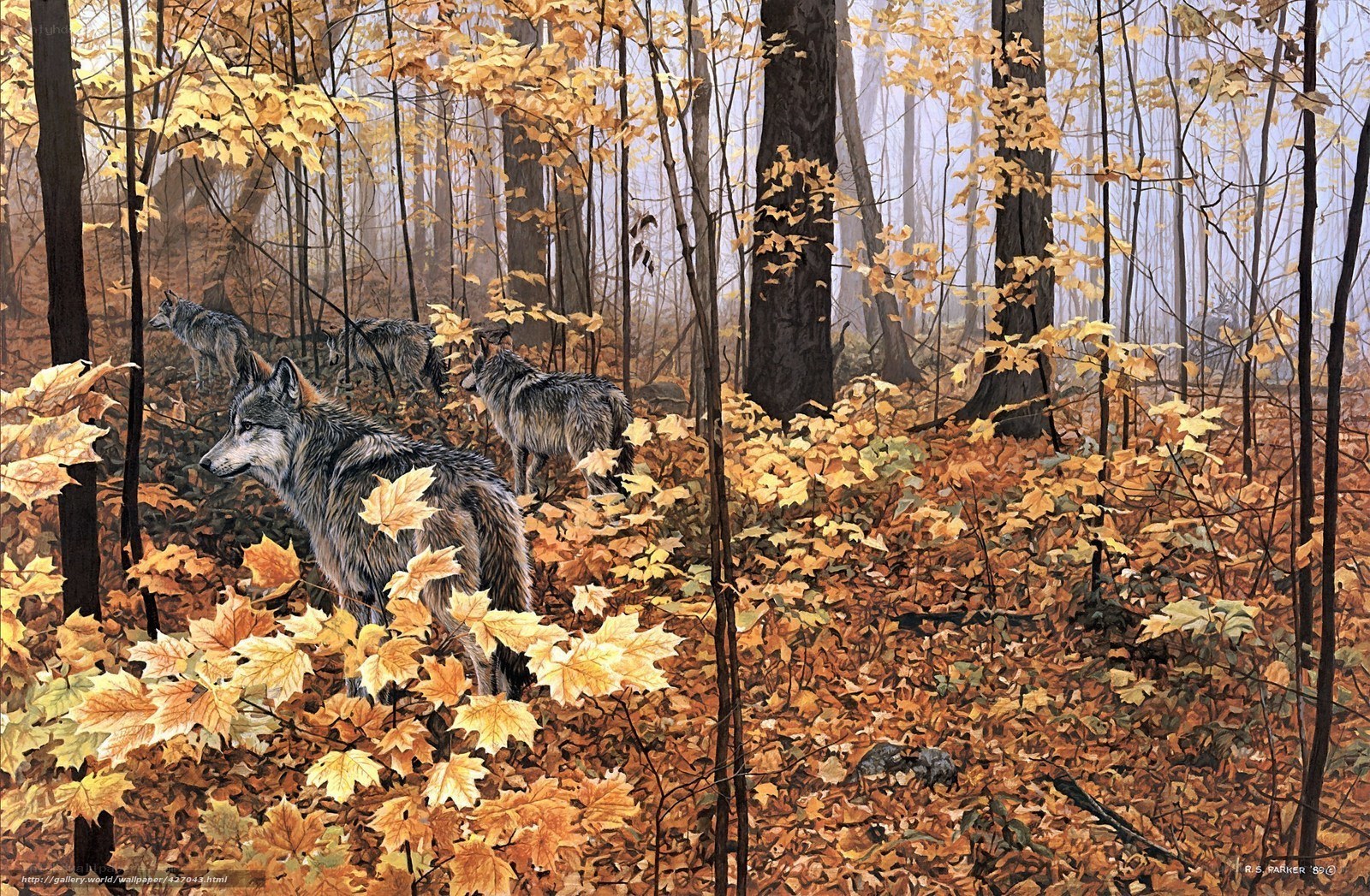 Wolves in Autumn Forest
