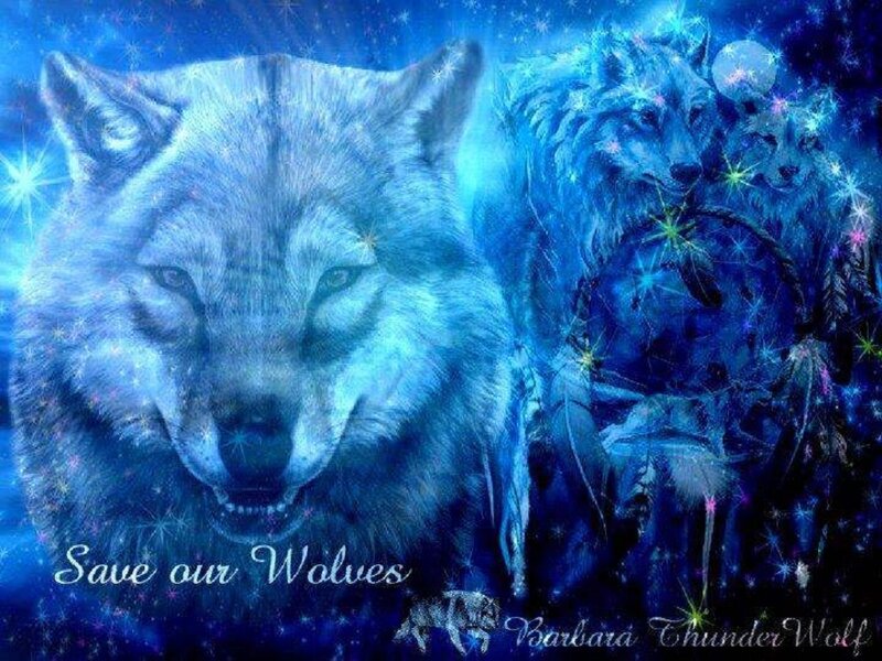 Wolves in Blue Light
