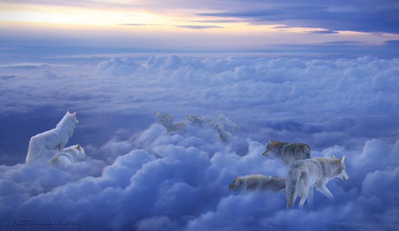 Wolves in Clouds — Blue