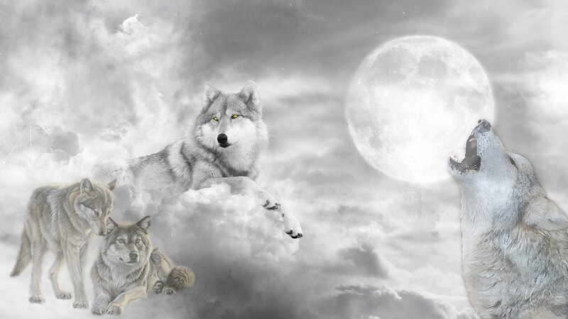 Wolves in Clouds — Gray