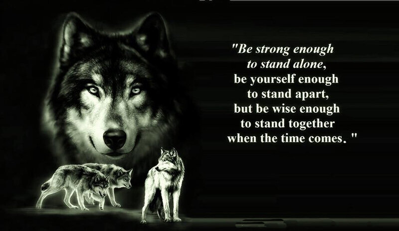 Wolves in Dark Setting