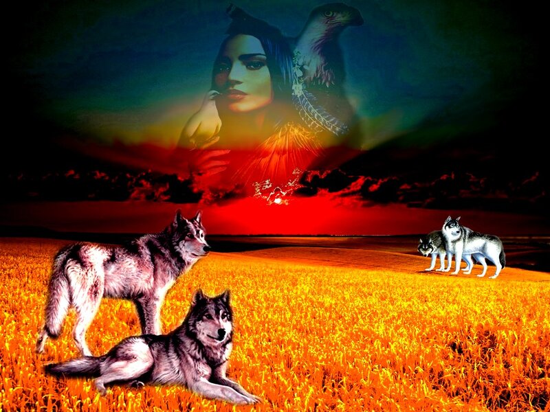 Wolves in Field