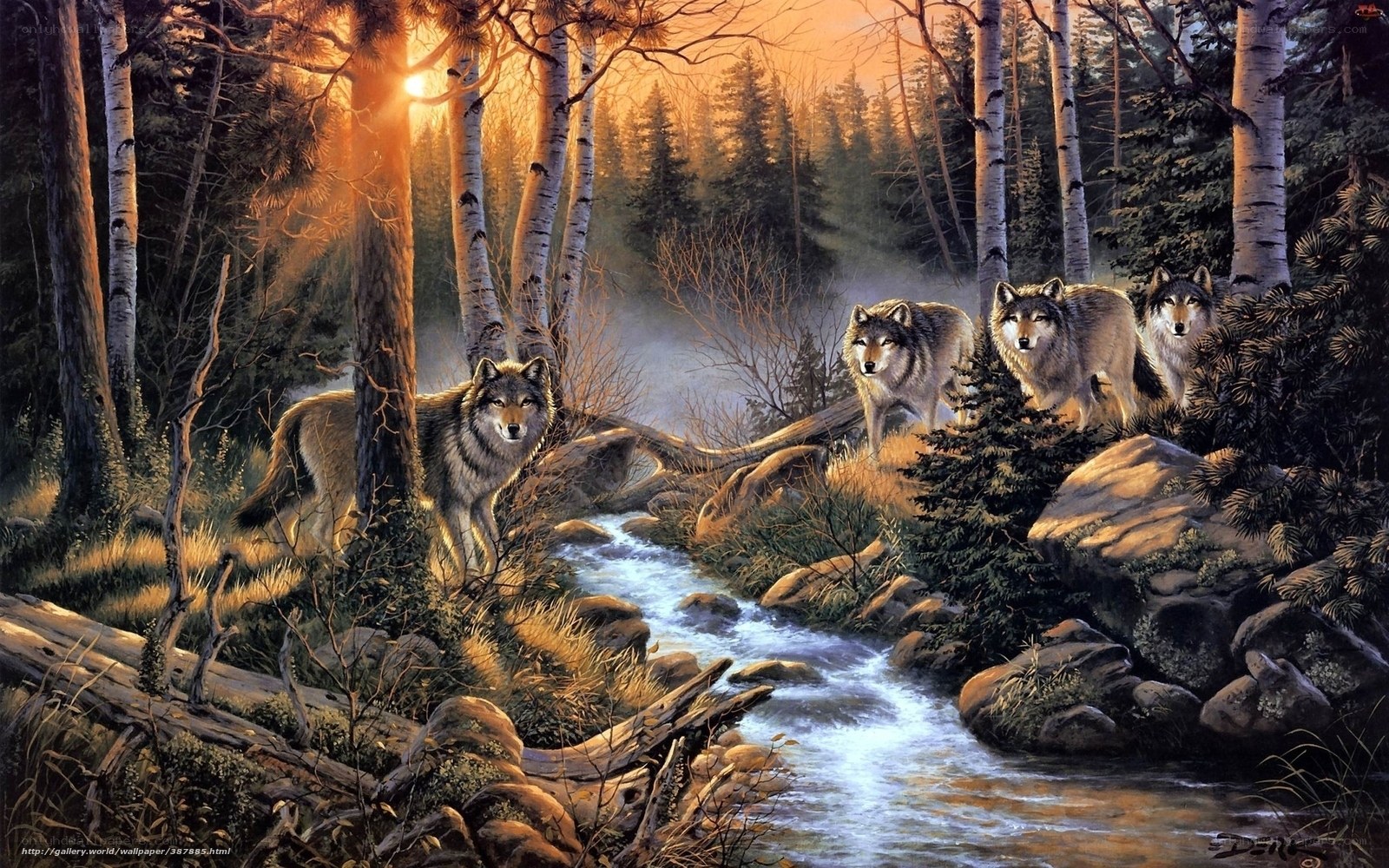 Wolves in forest at sunset