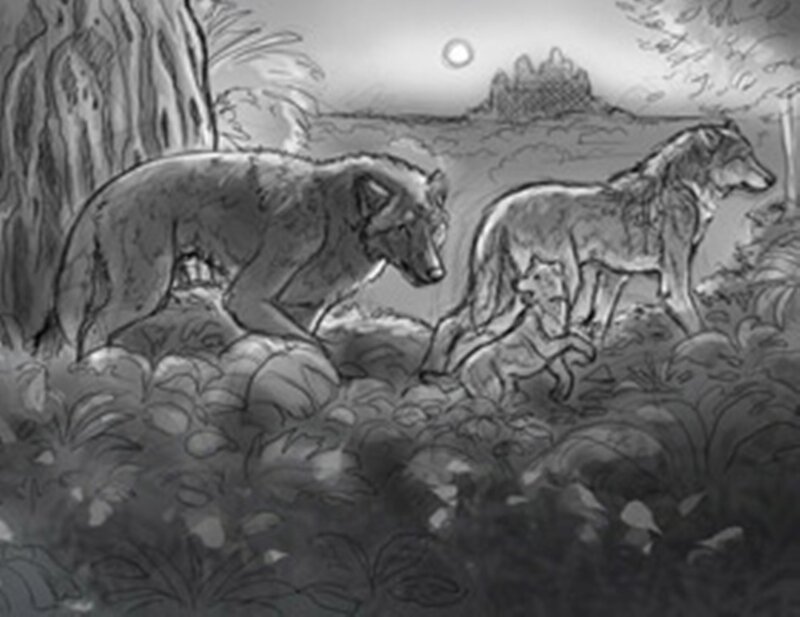 Wolves in Forest — Black