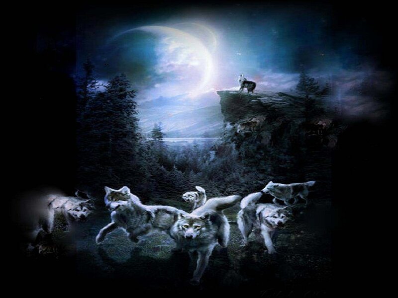 Wolves in Forest — Blue