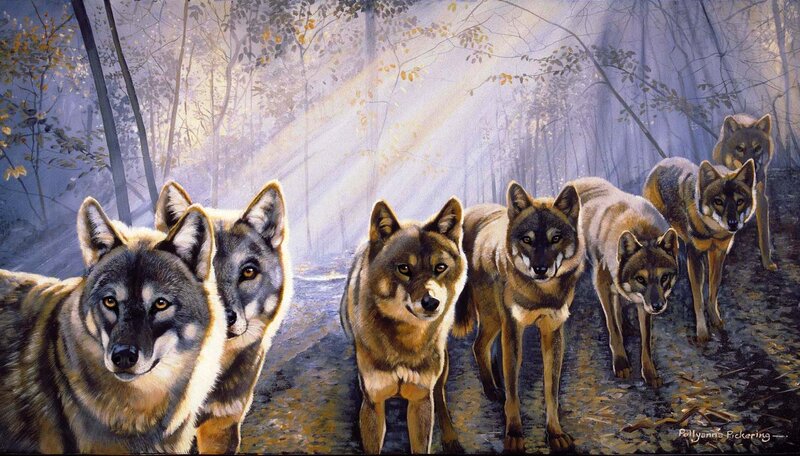Wolves in Forest — Brown, Dramatic