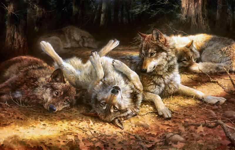 Wolves in Forest — Brown, Peaceful