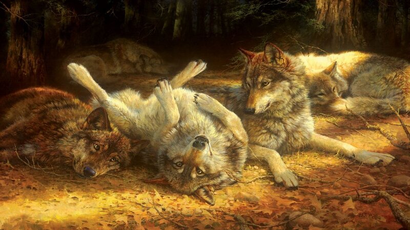 Wolves in Forest — Brown, Serene, Afternoon