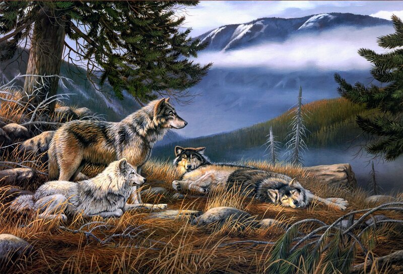 Wolves in Forest — Brown, Serene, Morning