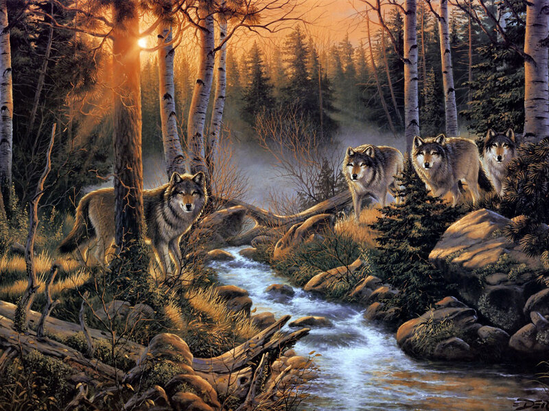 Wolves in Forest — Brown, Serene, Sunset, Painting, River