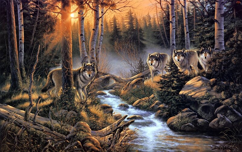 Wolves in Forest — Brown, Serene, Sunset, Painting, Stream