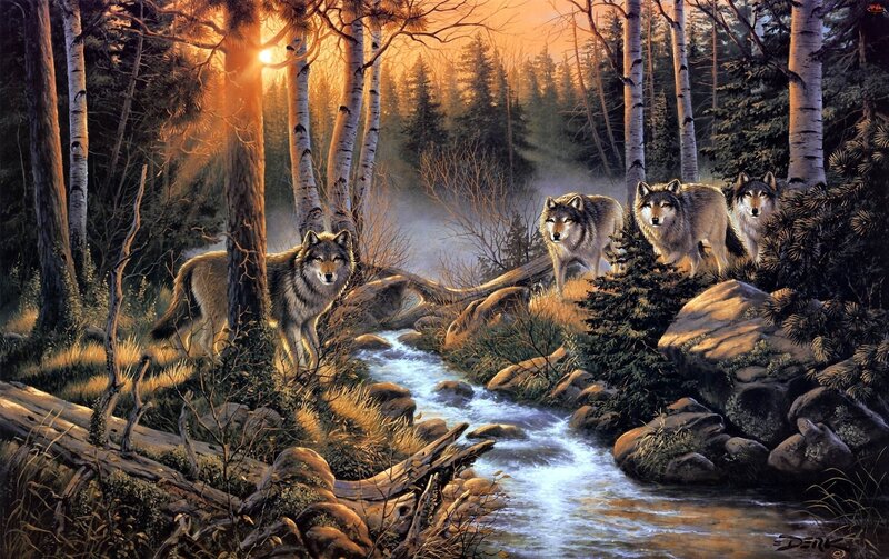 Wolves in Forest — Brown, Serene, Sunset, Painting