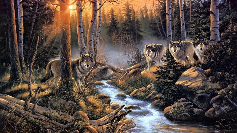 Wolves in Forest — Brown, Serene, Sunset