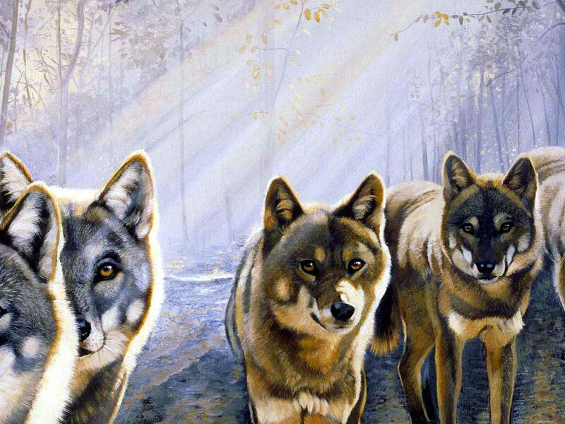 Wolves in Forest — Brown, Serene