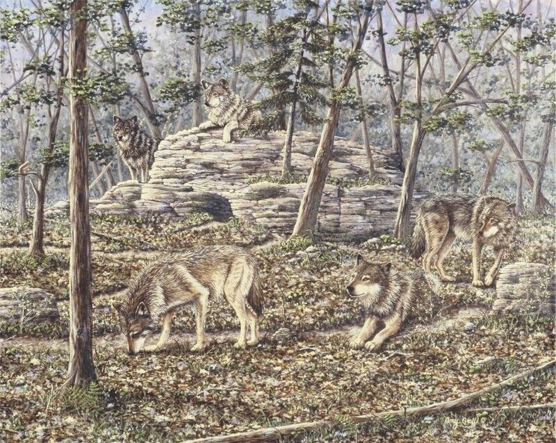 Wolves in Forest — Brown