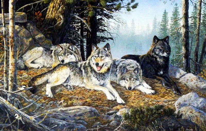 Wolves in Forest — Gray, Serene, Autumn