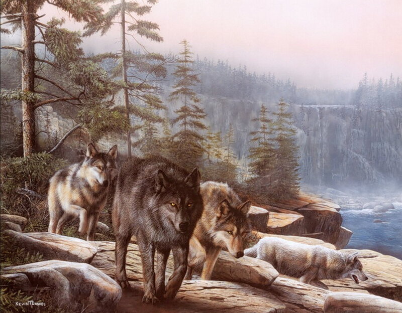Wolves in Forest — Gray, Serene