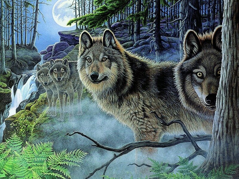 Wolves in Forest — Green, Mysterious