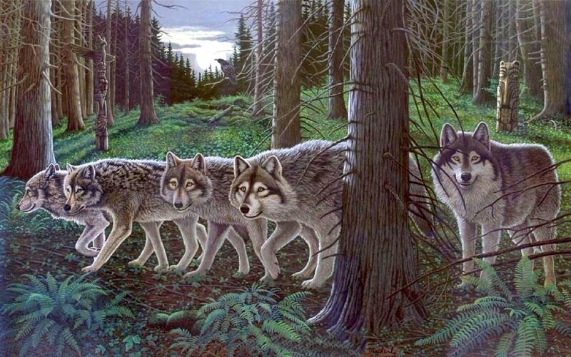 Wolves in Forest — Green, Serene, Night, Illustration