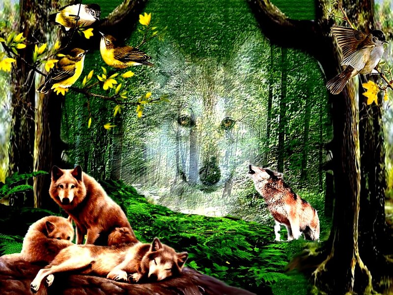 Wolves in Forest — Green, Serene