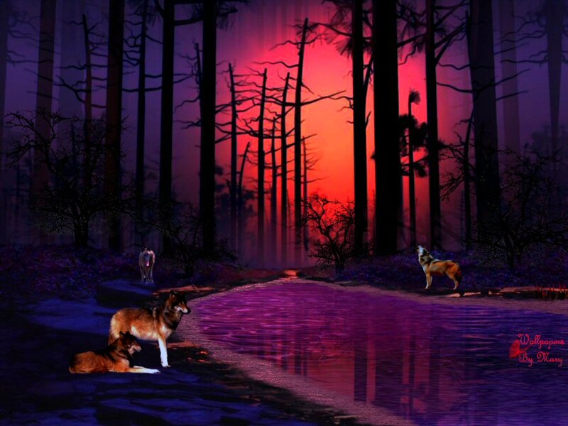 Wolves in Forest — Purple