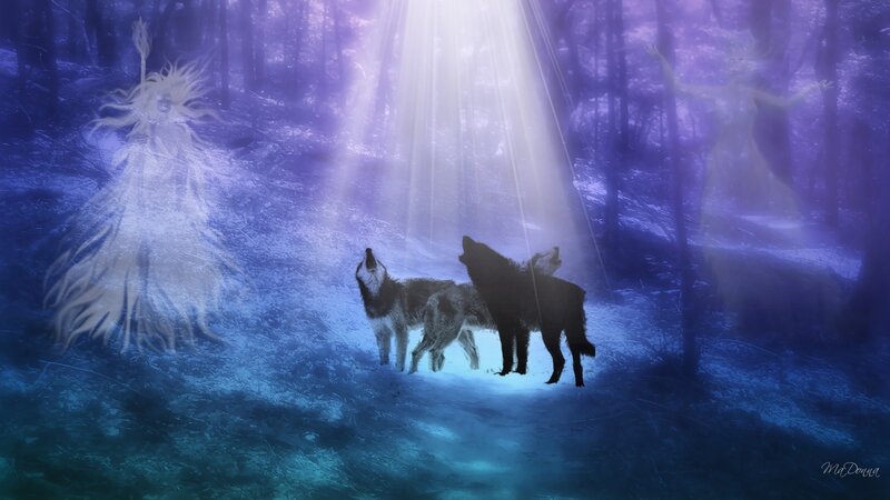 Wolves in Forest