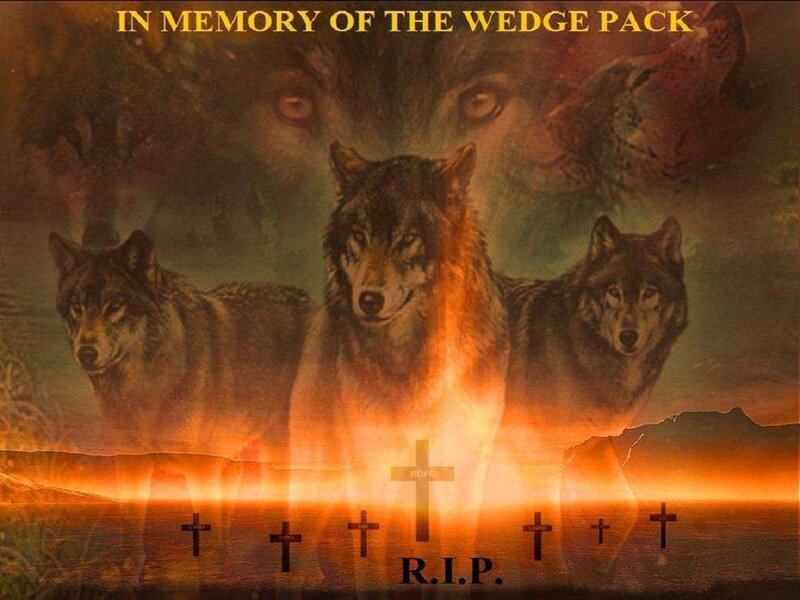 Wolves in Memorial