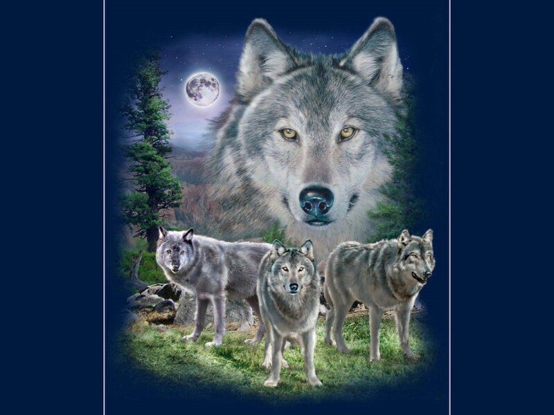 Wolves in Moonlight — Blue