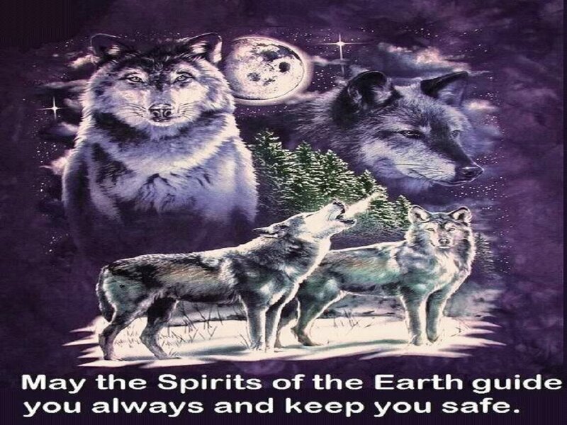 Wolves in Moonlight