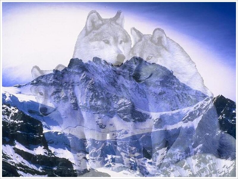 Wolves in Mountain Landscape