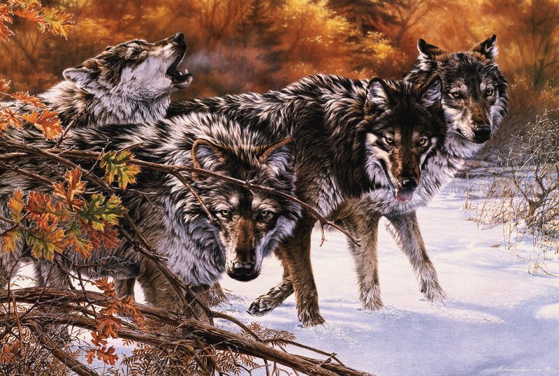 Wolves in Snow — Brown, Dramatic, Winter