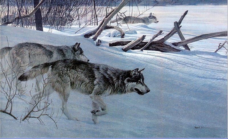 Wolves in Snow — White, Cold, Winter, Painting, Trees