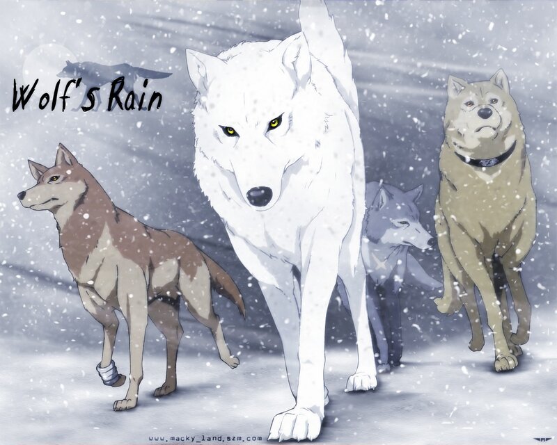 Wolves in Snow — White, Dramatic, Winter, Anime