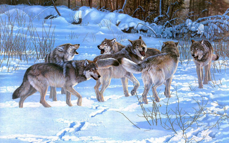 Wolves in Snow — White, Dramatic, Winter, Painting