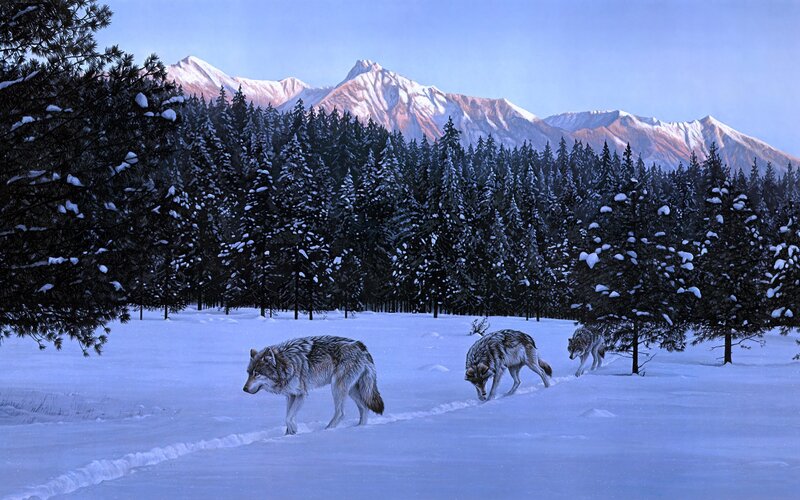 Wolves in Snow — White, Serene, Winter, Painting, Forest