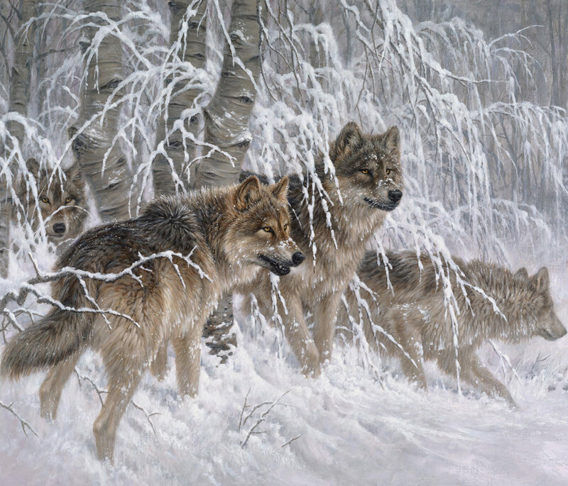 Wolves in Snow — White