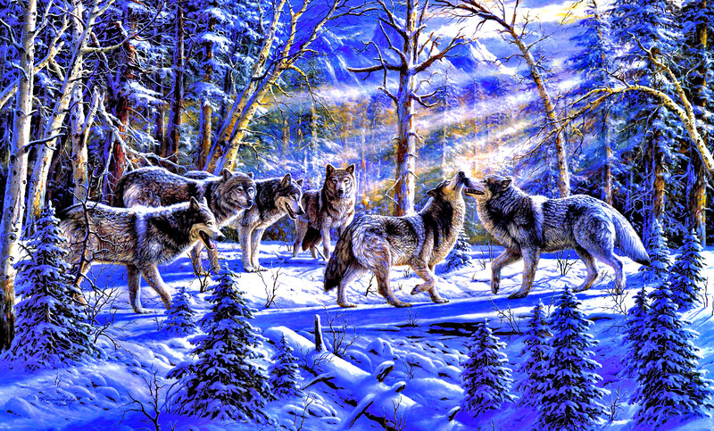 Wolves in Snowy Forest — Blue