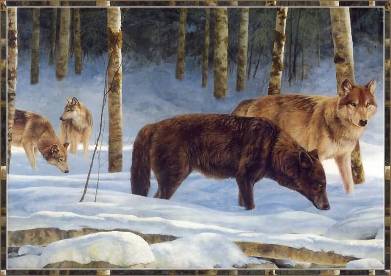 Wolves in Snowy Forest — Brown