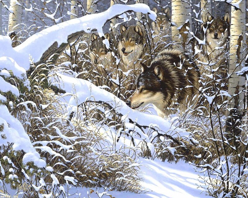 Wolves in Snowy Forest — White, Alert