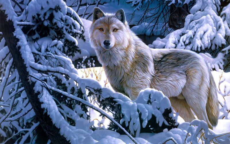 Wolves in Snowy Forest — White, Cold, Winter, Digital Art, Snow