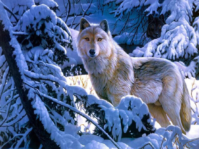 Wolves in Snowy Forest — White, Cold, Winter, Digital Art
