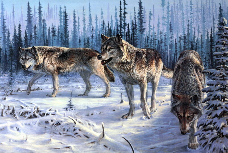 Wolves in Snowy Forest — White, Cold, Winter, Illustration