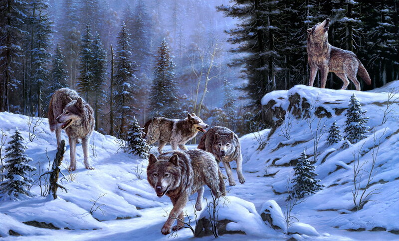 Wolves in Snowy Forest — White, Dramatic